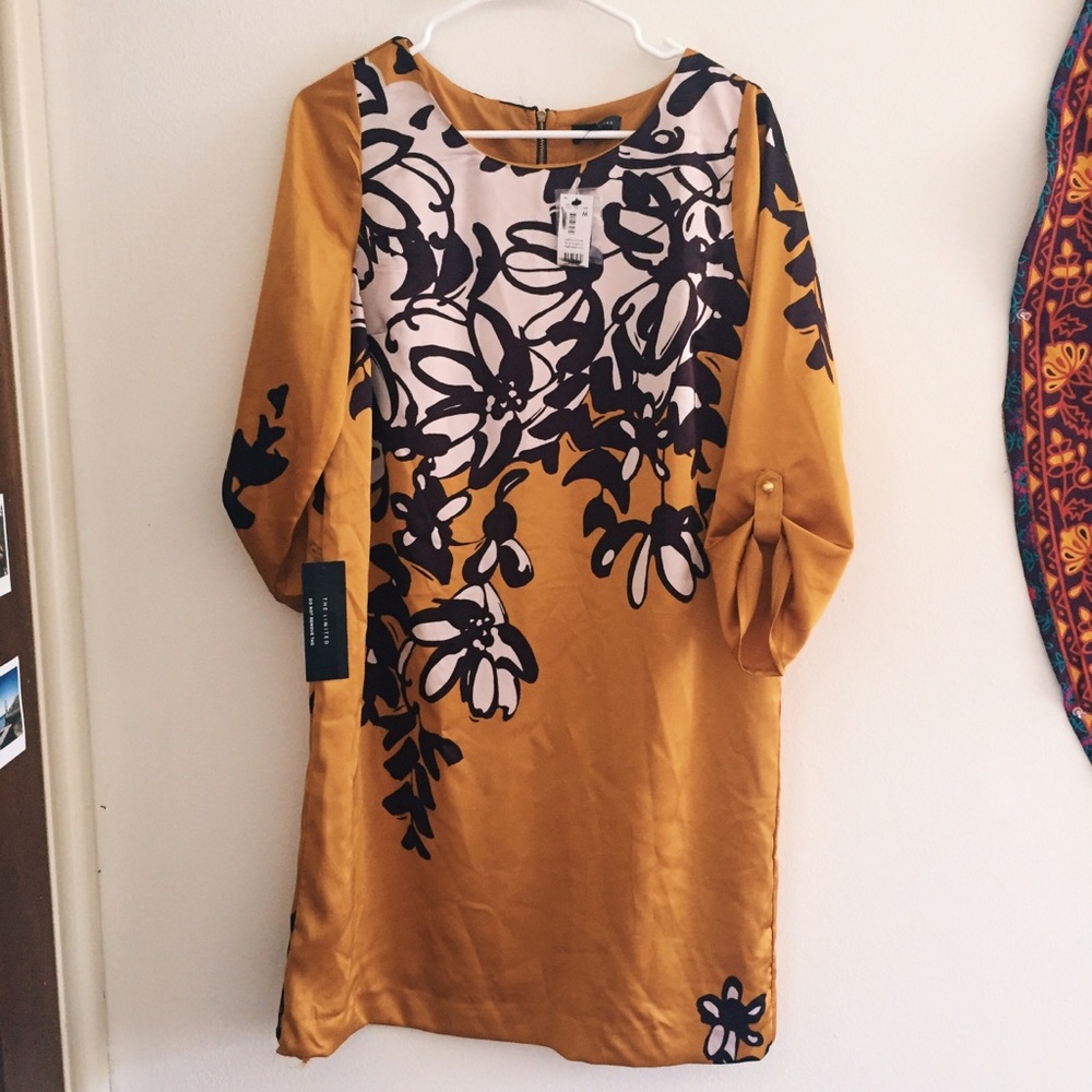 The Limited dress